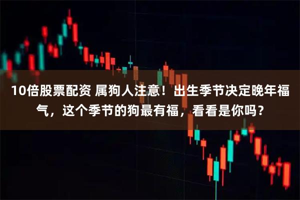 10倍股票配资 属狗人注意！出生季节决定晚年福气，这个季节的狗最有福，看看是你吗？